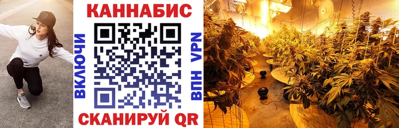 Купить где  Брюховецкая  Шишки марихуана Ganja 